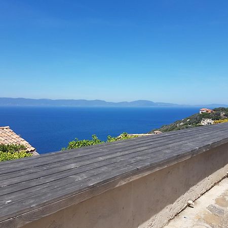Studio Climatise Ile Naturiste Du Levant Hyères Exterior foto